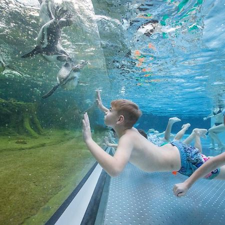 Spreewelten Hotel Lübbenau Kültér fotó