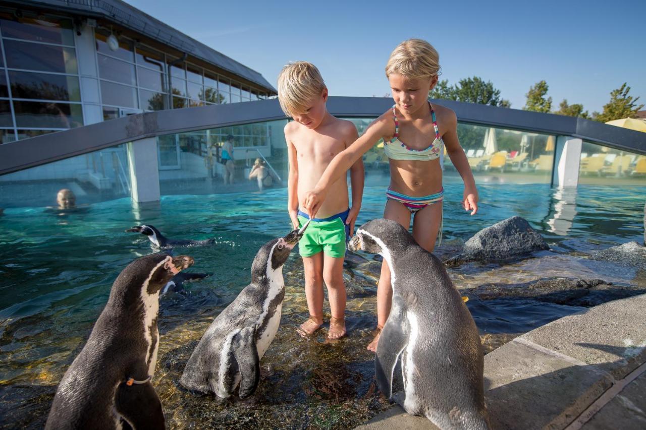 Spreewelten Hotel Lübbenau Kültér fotó